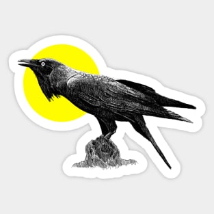 RAVEN Sticker